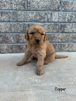 processed/2849b235-77a0-4fe8-bed4-c39960fa00d8/listing/4a64e754-0204-4012-9756-6b0c8e53ff15/3e3ffdfa-b087-4e8a-9d22-856a8ef2d796