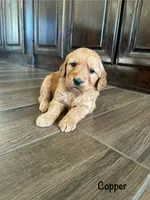 processed/2849b235-77a0-4fe8-bed4-c39960fa00d8/listing/4a64e754-0204-4012-9756-6b0c8e53ff15/57e0ed12-bd2a-472f-9cb2-98a7e5ecb599