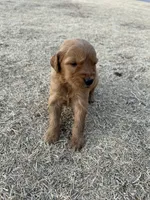 processed/2849b235-77a0-4fe8-bed4-c39960fa00d8/listing/4a64e754-0204-4012-9756-6b0c8e53ff15/58b18f26-6942-4141-b940-aa96e5b7e631