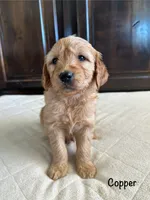 processed/2849b235-77a0-4fe8-bed4-c39960fa00d8/listing/4a64e754-0204-4012-9756-6b0c8e53ff15/7e8b6d62-f1e0-42b6-afbb-c4c134557eab