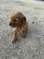 processed/2849b235-77a0-4fe8-bed4-c39960fa00d8/listing/4a64e754-0204-4012-9756-6b0c8e53ff15/88f1f304-0693-4580-8111-398a9354cce9