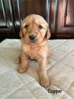 processed/2849b235-77a0-4fe8-bed4-c39960fa00d8/listing/4a64e754-0204-4012-9756-6b0c8e53ff15/aacf7645-7b51-4e12-ade1-a5aa5c7bb7be