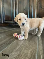 processed/2849b235-77a0-4fe8-bed4-c39960fa00d8/listing/5f6c5d1f-15f8-458d-a57c-f08443b84a39/b51650a5-c836-49e9-ac78-8e2a4a2f4bdd