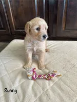 processed/2849b235-77a0-4fe8-bed4-c39960fa00d8/listing/5f6c5d1f-15f8-458d-a57c-f08443b84a39/bfe72442-c428-4e4b-bedc-e09906c1673e