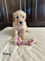 processed/2849b235-77a0-4fe8-bed4-c39960fa00d8/listing/5f6c5d1f-15f8-458d-a57c-f08443b84a39/dc408b13-474a-46da-99b7-558eae3072cd