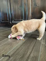 processed/2849b235-77a0-4fe8-bed4-c39960fa00d8/listing/5f6c5d1f-15f8-458d-a57c-f08443b84a39/f0b5d8c2-d156-4c15-a69f-2fccf3c9c657