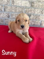 processed/2849b235-77a0-4fe8-bed4-c39960fa00d8/listing/5f6c5d1f-15f8-458d-a57c-f08443b84a39/fa8b0724-d36b-4887-b254-ede932507471