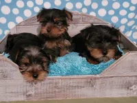 processed/284f355b-4033-4516-abbb-416a542fab41/facility/36c712b0-d761-45c5-b528-a4daf41d119e