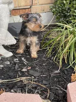 processed/284f355b-4033-4516-abbb-416a542fab41/facility/66edda57-3a3d-4477-885b-ceed2ddd9895