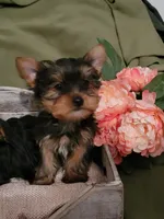 processed/284f355b-4033-4516-abbb-416a542fab41/facility/aaf9b0bc-eb42-4e89-a4b2-42460b041fae