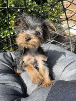 processed/284f355b-4033-4516-abbb-416a542fab41/facility/fd438546-4555-4c73-a949-0b04948eb749