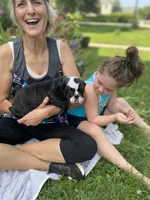 Zena, a female English Bulldog for sale in Marion, OH – 2 of 2