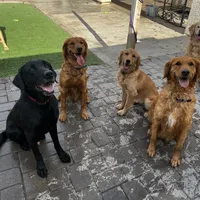 processed/2859afad-3ff0-43f5-9646-0507a781afa5/facility/0524f454-0ecb-4051-837c-2b6e016afda2