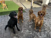 processed/2859afad-3ff0-43f5-9646-0507a781afa5/facility/0524f454-0ecb-4051-837c-2b6e016afda2