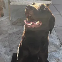 processed/2859afad-3ff0-43f5-9646-0507a781afa5/facility/2e3d0b3c-589e-4d89-a488-d84d6b490b89