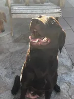 processed/2859afad-3ff0-43f5-9646-0507a781afa5/facility/2e3d0b3c-589e-4d89-a488-d84d6b490b89