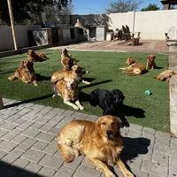 processed/2859afad-3ff0-43f5-9646-0507a781afa5/facility/515ae9e6-24d8-4051-a891-3cf35e885acd