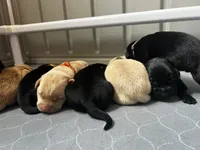 processed/2859afad-3ff0-43f5-9646-0507a781afa5/facility/798aa855-5617-4e7e-9249-b1dc7c5f7e9e