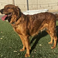 processed/2859afad-3ff0-43f5-9646-0507a781afa5/facility/c1bf5a43-e829-44c3-9adb-f35bef6b55fb