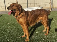 processed/2859afad-3ff0-43f5-9646-0507a781afa5/facility/c1bf5a43-e829-44c3-9adb-f35bef6b55fb