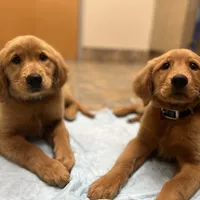 processed/2859afad-3ff0-43f5-9646-0507a781afa5/facility/e64eb14d-61a4-4c39-898b-b39a6afa1c25