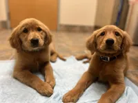 processed/2859afad-3ff0-43f5-9646-0507a781afa5/facility/e64eb14d-61a4-4c39-898b-b39a6afa1c25