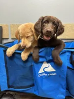 processed/2859afad-3ff0-43f5-9646-0507a781afa5/listing/7844e9dd-5e43-4425-9928-97fe6efeaaba/00a2d39c-571f-45a5-9487-d009a45c694b