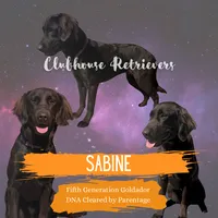 processed/2859afad-3ff0-43f5-9646-0507a781afa5/listing/7844e9dd-5e43-4425-9928-97fe6efeaaba/29e46b51-804e-46cf-9d49-873e309ed130