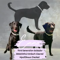 processed/2859afad-3ff0-43f5-9646-0507a781afa5/listing/7844e9dd-5e43-4425-9928-97fe6efeaaba/805b5a10-ddcb-4363-b949-3d0fb9a08cc2