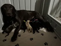 processed/2859afad-3ff0-43f5-9646-0507a781afa5/listing/7844e9dd-5e43-4425-9928-97fe6efeaaba/d12e49da-197c-4fba-975e-5ed275431502