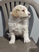 processed/285b6afd-01db-4a42-9edd-cce6906bbf7f/listing/a80c9ded-7b0a-41f2-834c-0671c1f1ed30/878ce6e7-dcf2-40f4-a7ef-20ea2f1142de