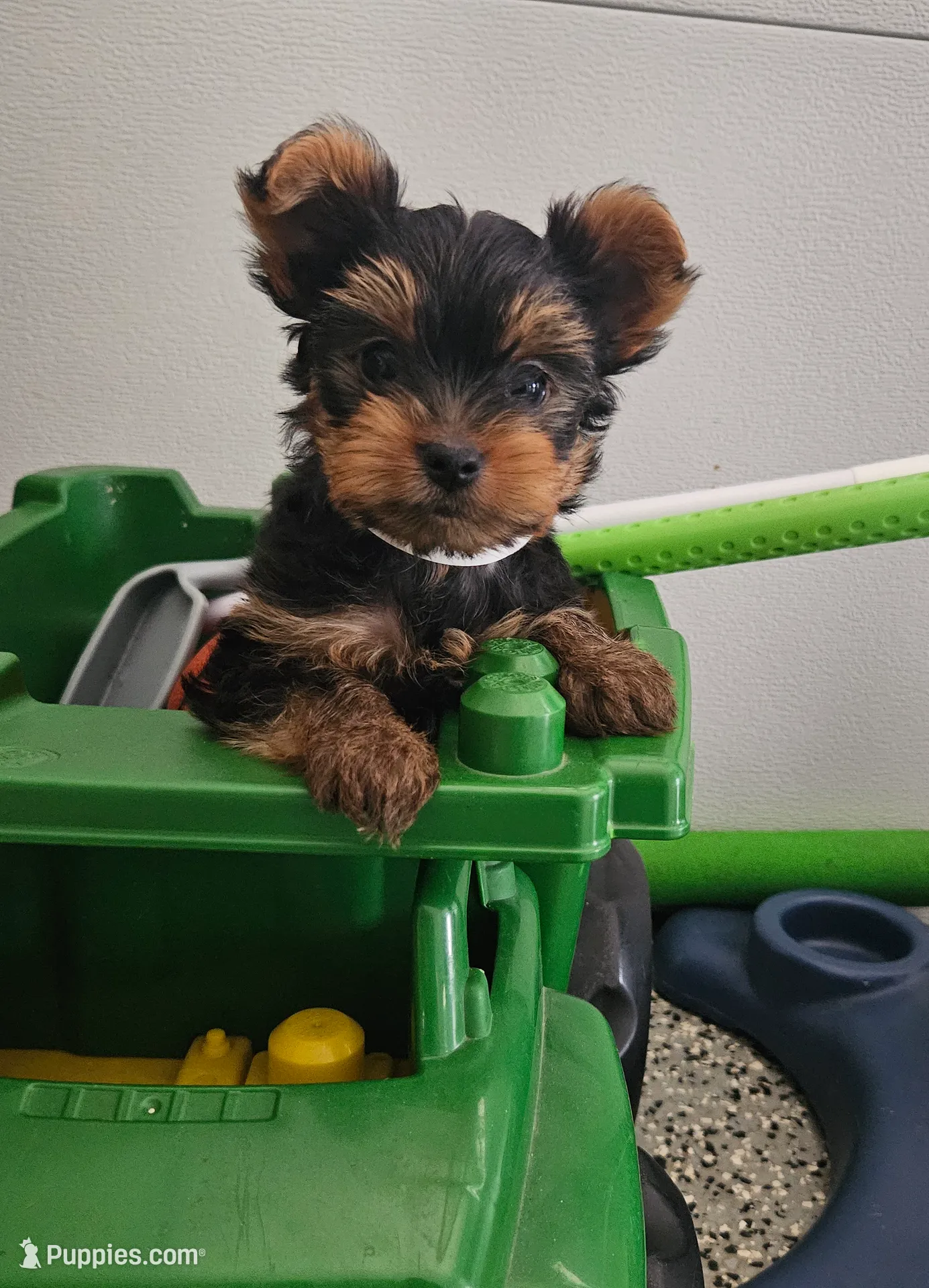 processed/285b6afd-01db-4a42-9edd-cce6906bbf7f/listing/f503f020-7935-4d40-a930-2c442cb340a6/2f4978cb-b1cf-4df6-85c6-992c86d59706