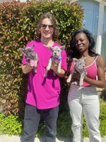 processed/285dbc77-3820-4da8-9ecc-679c0e4ab540/facility/1f5625a9-5b07-4bfc-8556-6c5a8c5a1b42