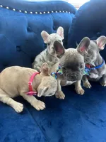 processed/285dbc77-3820-4da8-9ecc-679c0e4ab540/facility/4b175021-61b8-4e3a-8edf-03f9a74f8546