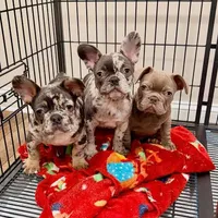 processed/285dbc77-3820-4da8-9ecc-679c0e4ab540/facility/5cb0c77f-a967-4f82-80c2-08222760fd85