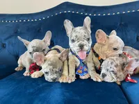 processed/285dbc77-3820-4da8-9ecc-679c0e4ab540/facility/85f157b4-eca1-4510-aed8-12b41158aee9