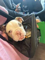 processed/285dbc77-3820-4da8-9ecc-679c0e4ab540/facility/f8f92033-30bc-48ba-b516-bdffa8cc8d37