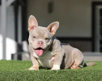 processed/285dbc77-3820-4da8-9ecc-679c0e4ab540/listing/1536ffb8-196c-4198-a87f-554c58cac6a5/10c67cfe-13b9-431d-951d-3040fb006c20