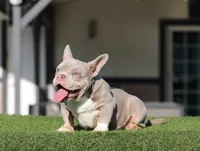 processed/285dbc77-3820-4da8-9ecc-679c0e4ab540/listing/1536ffb8-196c-4198-a87f-554c58cac6a5/2a33f99c-4475-4e43-a9a1-ba100a25ef99