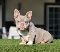 processed/285dbc77-3820-4da8-9ecc-679c0e4ab540/listing/1536ffb8-196c-4198-a87f-554c58cac6a5/7b3abe4c-7f1d-4d63-9c22-4109a61095e8