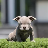 processed/285dbc77-3820-4da8-9ecc-679c0e4ab540/listing/1536ffb8-196c-4198-a87f-554c58cac6a5/e2803ebc-c399-43af-a7e4-8226a6928c7a