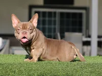 processed/285dbc77-3820-4da8-9ecc-679c0e4ab540/listing/5fb37564-9557-4a9f-9750-be479f08d091/4ae4fbf8-7794-42ec-966d-c19e92700d67