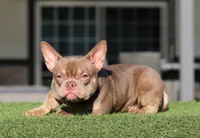 processed/285dbc77-3820-4da8-9ecc-679c0e4ab540/listing/5fb37564-9557-4a9f-9750-be479f08d091/76c84e89-6eb8-4f88-9918-e21619bb7ba5