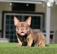 processed/285dbc77-3820-4da8-9ecc-679c0e4ab540/listing/5fb37564-9557-4a9f-9750-be479f08d091/7e69b740-3893-4d93-a084-d7f5cc952482