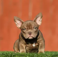 processed/285dbc77-3820-4da8-9ecc-679c0e4ab540/listing/5fb37564-9557-4a9f-9750-be479f08d091/cbe4d4a9-cff7-47c7-b3f3-4a139fae8a79