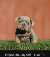 processed/285dbc77-3820-4da8-9ecc-679c0e4ab540/listing/920b1754-8cc4-4cff-acaf-163862302c16/3bb979a8-3d61-4d23-8cfb-8c2a32201d0a