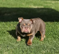 processed/285dbc77-3820-4da8-9ecc-679c0e4ab540/listing/920b1754-8cc4-4cff-acaf-163862302c16/806e4dac-81d4-47d8-b58a-e5aaf402b677