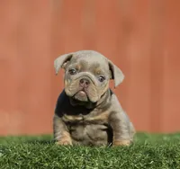 processed/285dbc77-3820-4da8-9ecc-679c0e4ab540/listing/920b1754-8cc4-4cff-acaf-163862302c16/b04e87dc-4b7c-4f6b-9d67-780742a457d5