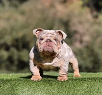 processed/285dbc77-3820-4da8-9ecc-679c0e4ab540/listing/920b1754-8cc4-4cff-acaf-163862302c16/ced02f3e-feb4-415c-aa84-ff253d1dff5d