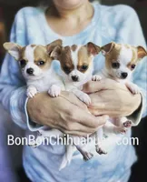 processed/286fdf17-c85c-4ff0-bfb3-576b887f7acc/facility/62af01fd-52d5-4003-912e-a5aabc8de0ad